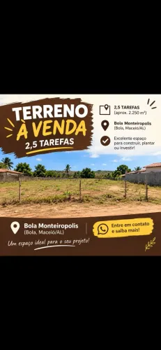 Vendo Tarefa 2,5M Bola Monteiropolis 