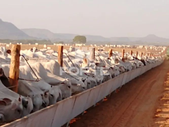 Fazenda a venda em Goiatins no Tocantins