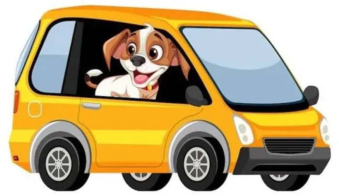 TÁXI DOG CAPITAL E INTERIOR CLIMATIZADO ?