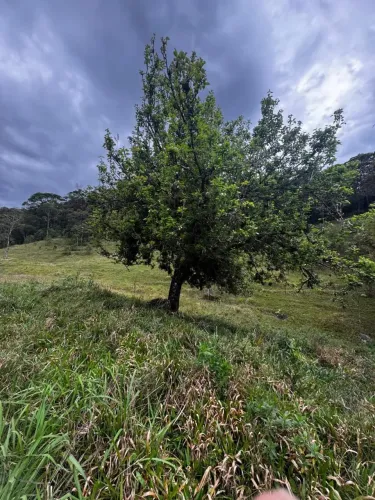 Belo Sitio em Águas Mornas - SC