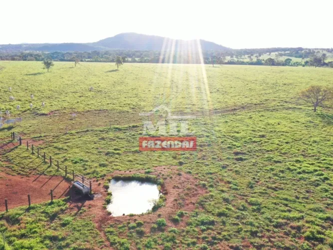 Fazenda Extra em Amaralina-GO. (150 Alqueires)