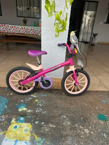 Bicicleta aro 16