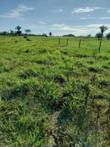 Chácara com 1 dormitório à venda, 217800 m² - Sumaúma - Urupá/RO