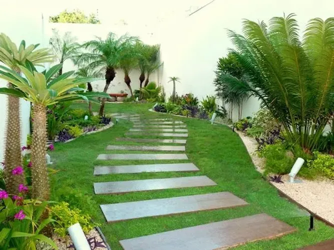 Jardineiro disponível segunda a sexta 