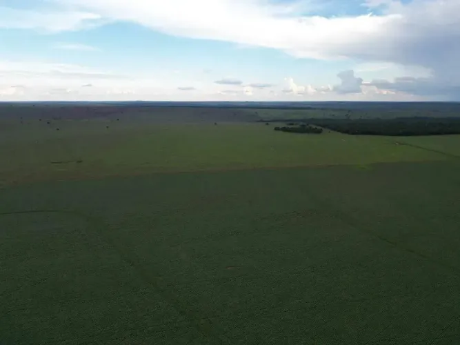 Fazenda a venda, em Ribas do Rio Pardo - Ms!!!