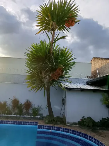 Jardineiro 