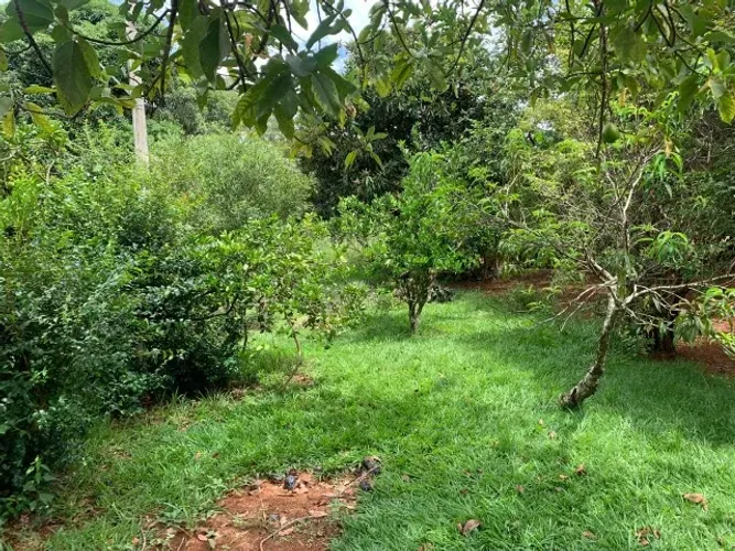 Chácara de 1.000m² plantada de arvores frutíferas, em frente a uma reserva ecológica.