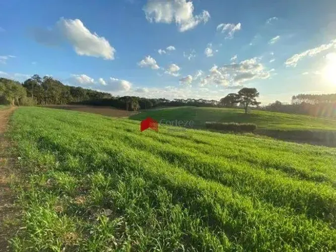 Chácara com 114.345m² , à venda, no bairro Colônia Murici em São José dos Pinhais