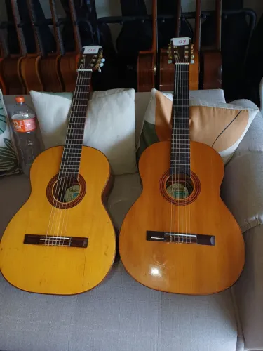 Violões digiorgio belsom 36
