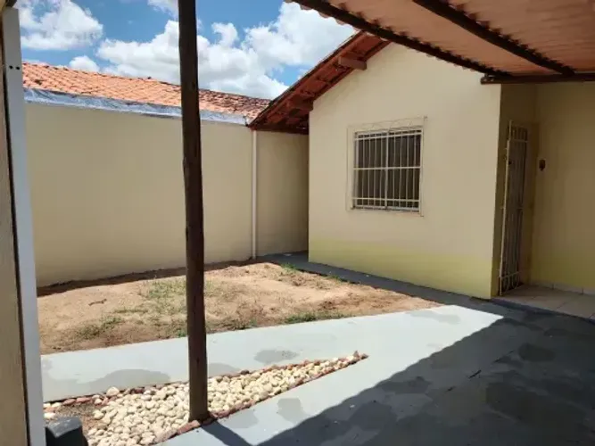 Jequitibá aracruz