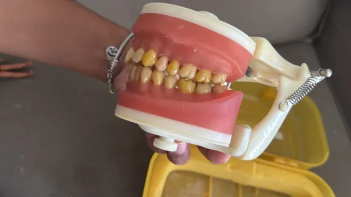 Manequim odontológico 