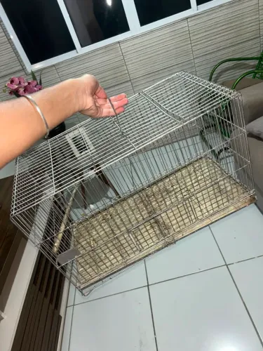 Vendo gaiola de ferro