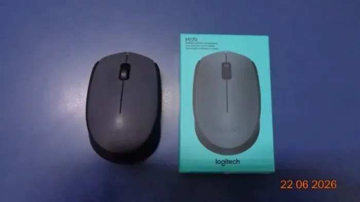 Mouse sem fio M170 Preto Logitech