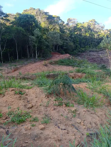 Sitio 5.000m²em holanda 60.000.00