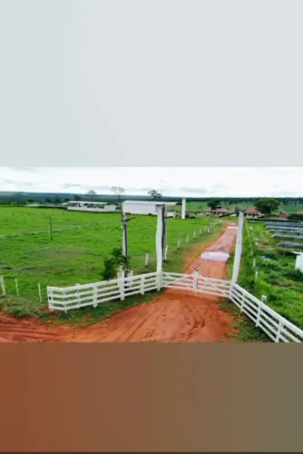 COD527- FAZENDA DE 1816 HECTARES Á VENDA EM MIRANDA/MS
