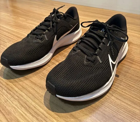 Tênis Pegasus 40 masculino