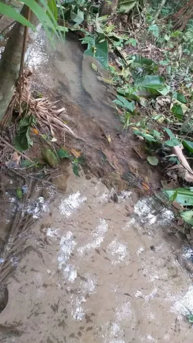 Terreno com olho d'água corrente