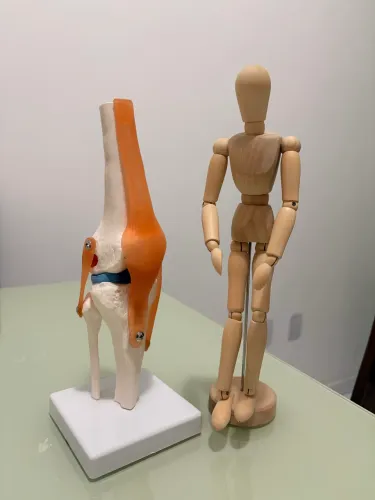 Articulação do joelho com ligamentos e boneco articulado de madeira