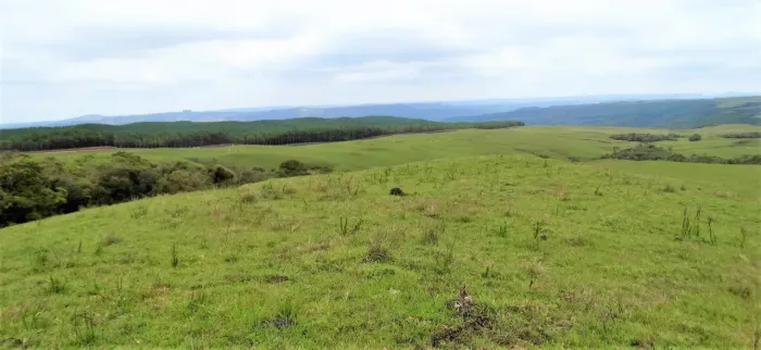 Portal da Boa Vista- Serra Catarinense