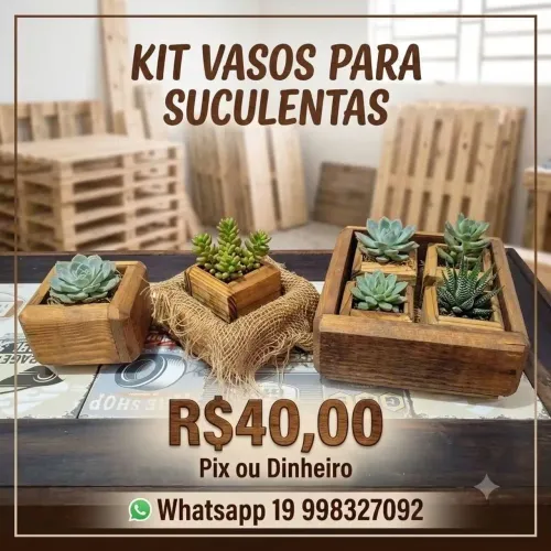 Vasinho palete