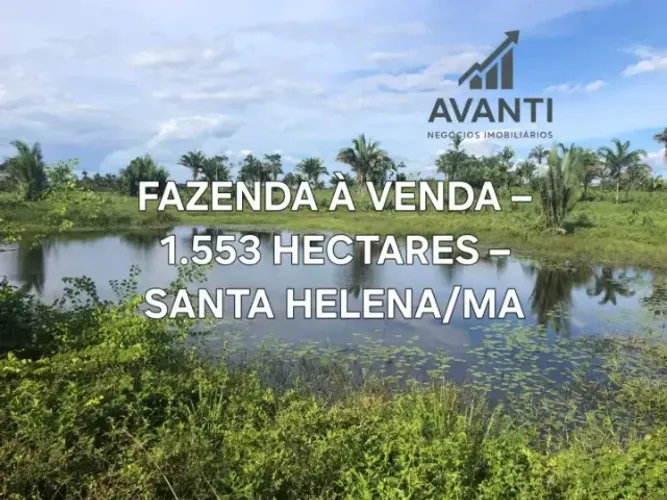 FAZENDA 1.553 HECTARES - SANTA HELENA/MA