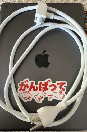 Cabo Extensor Apple Original (MacBook)