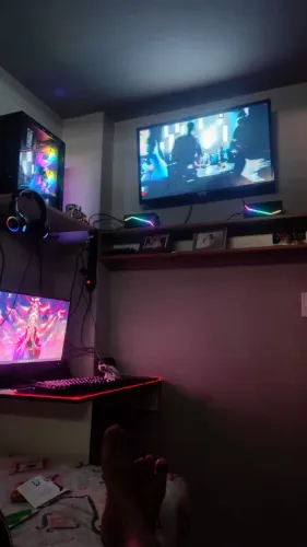 monitor