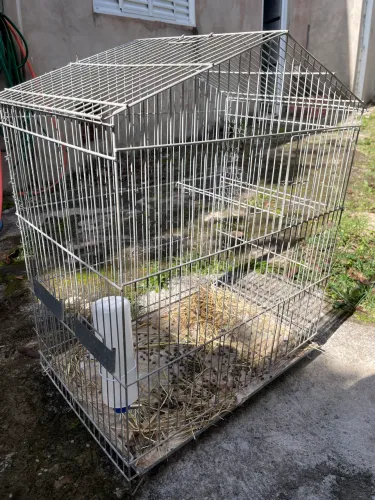 Gaiola grande.