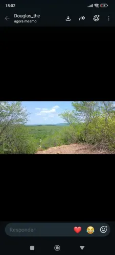 Terreno de 418 ha /João Costa -Piauí
