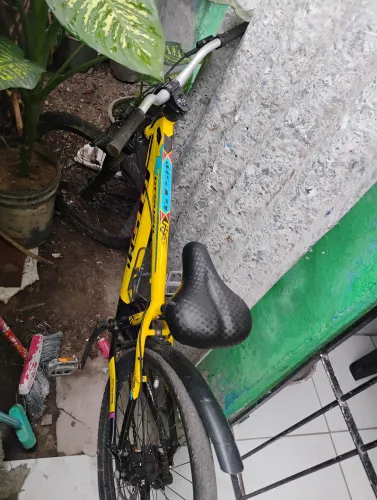 Bicicleta