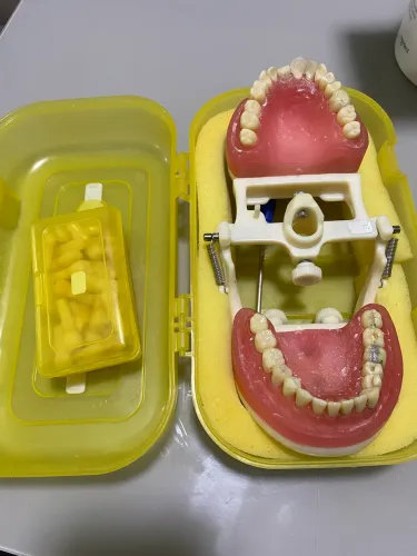 Manequim odontológico