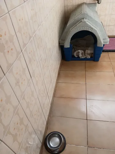 Casa de cachorro