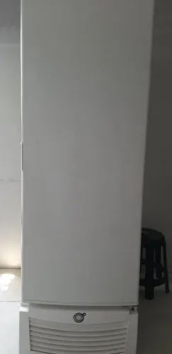 Freezer vertical