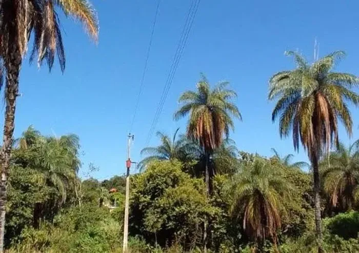 Chácaras a partir de 700m² a 1.800m², com agua e luz, terreno fértil, Jaboticatubas.