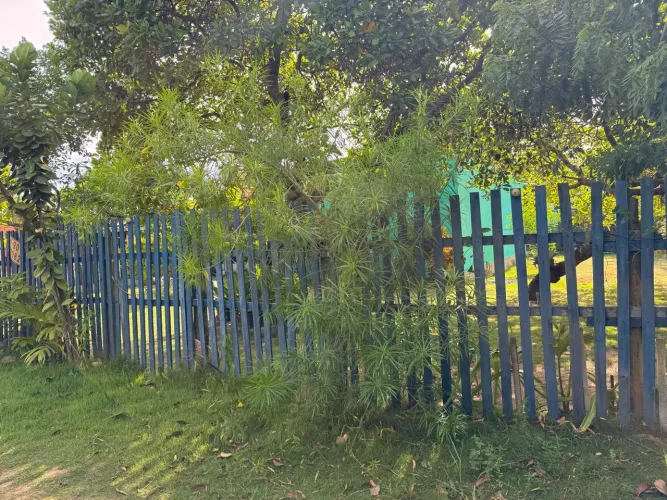 Vendo casa maravilhosa 500 mil