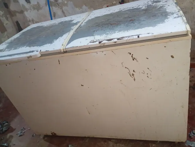 Freezer horizontal duas portas 
