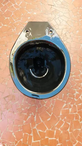 Vaso sanitário novo preto