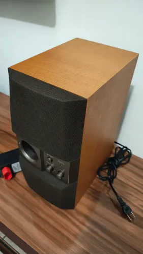 Subwoofer Ativo Denon DSW-11 Raro - Japonês 100V (Brinde Conversor)