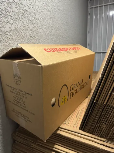 Caixa de Papelão Grande para Transporte e Estoque
