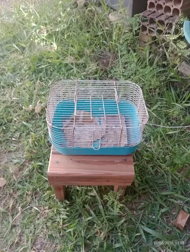 Gaiola para hamister