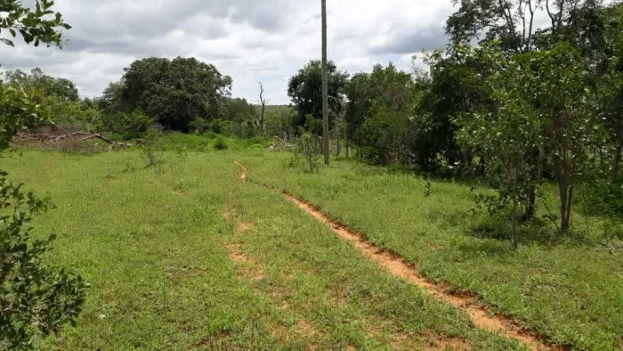 Imóvel Rural 