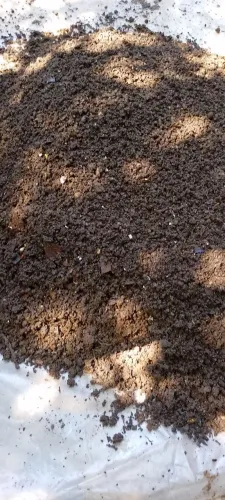 Vendo Terra preta