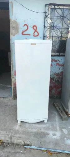 Freezer vertical