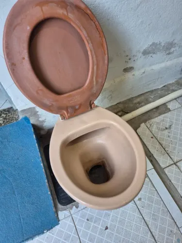 Vaso Sanitário Convencional (Louça Bege) + Assento