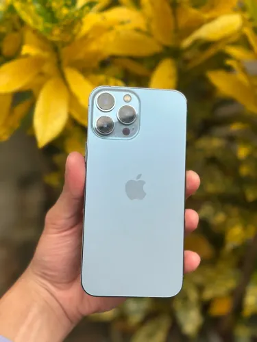 iPhone 13 Pro Max 128GB 79%