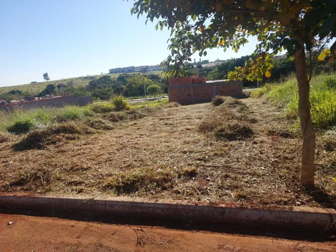 Terreno