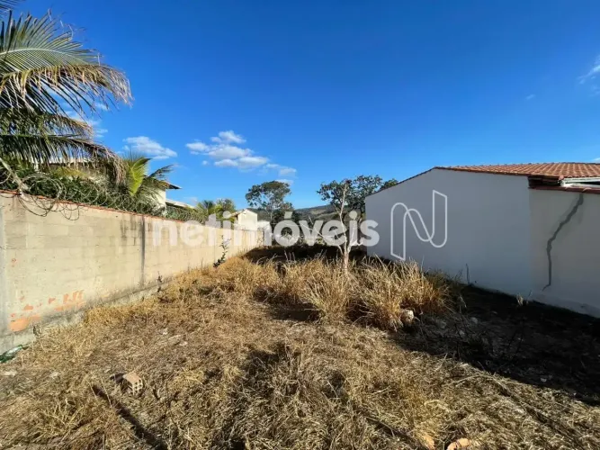 Venda Lote-Área-Terreno Nossa Senhora Aparecida Florestal