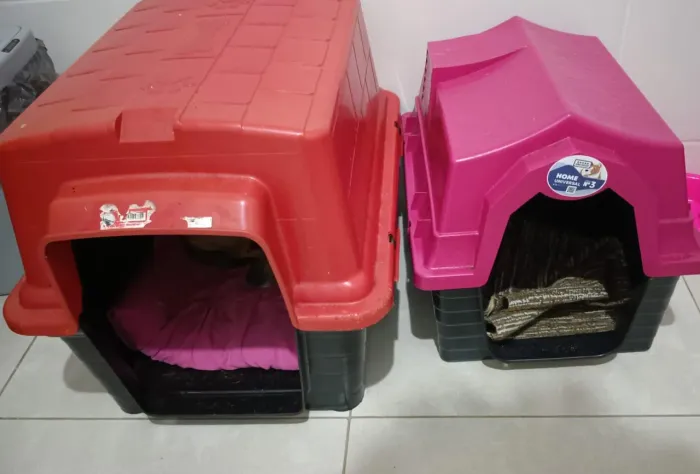 2 casinha de cachorro