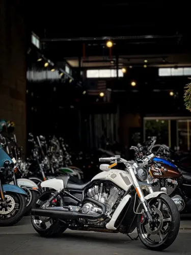 HARLEY-DAVIDSON V-ROD MUSCLE VRSCF 2014