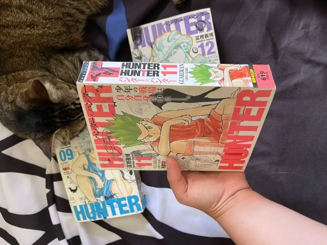 Mangá em Japonês - Hunter X Hunter volume 11